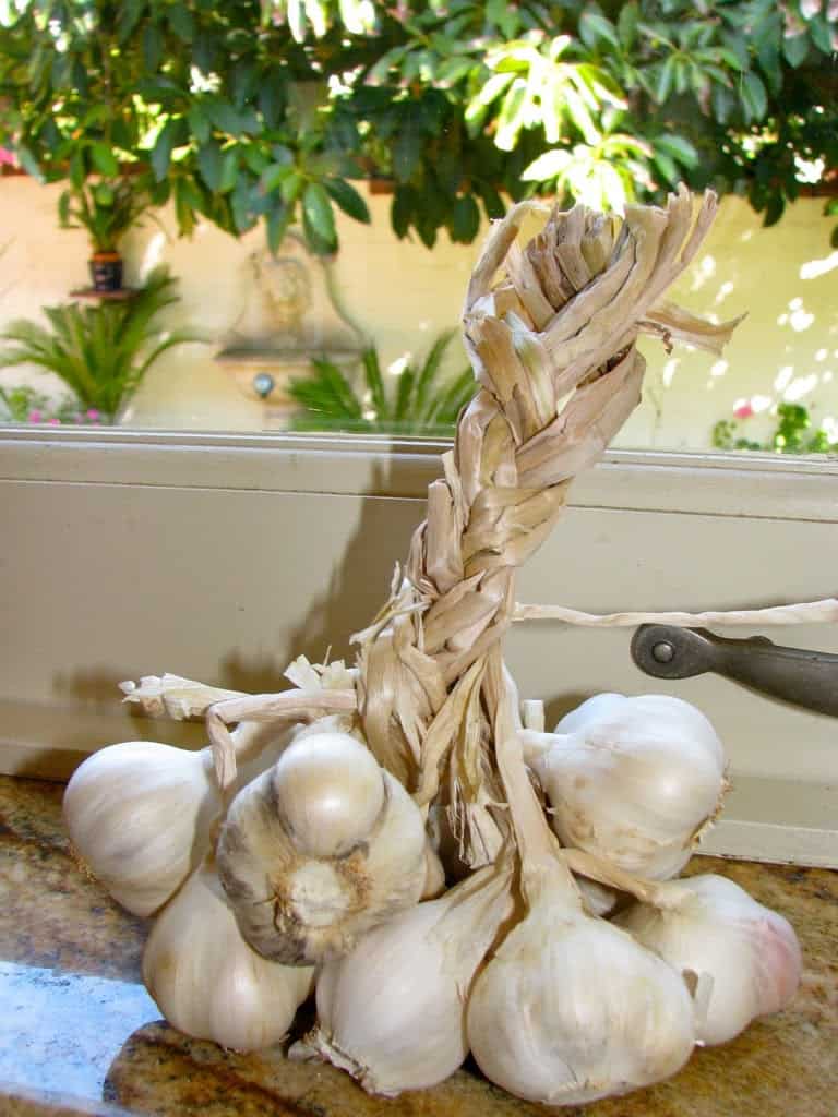 garlic homegrown must have kitchen ingredient things I love