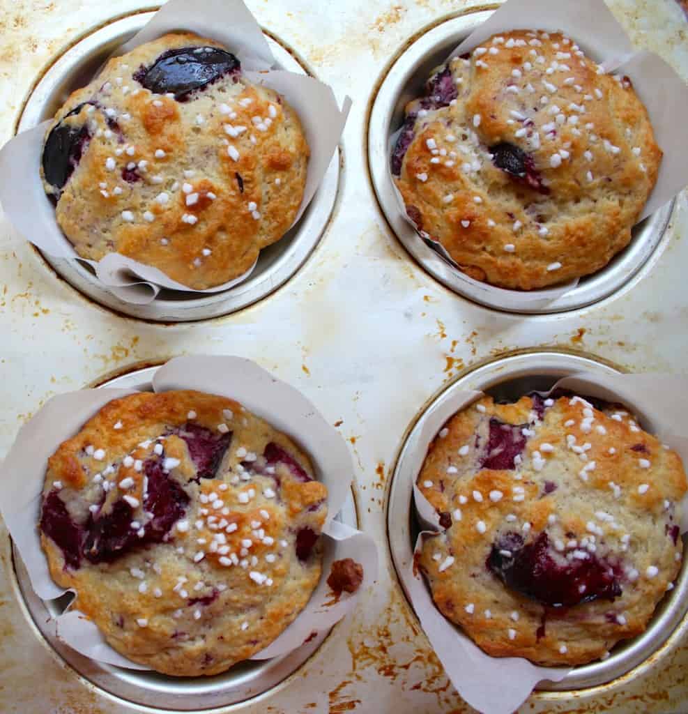 golden brown plum muffins in a tin out of the oven