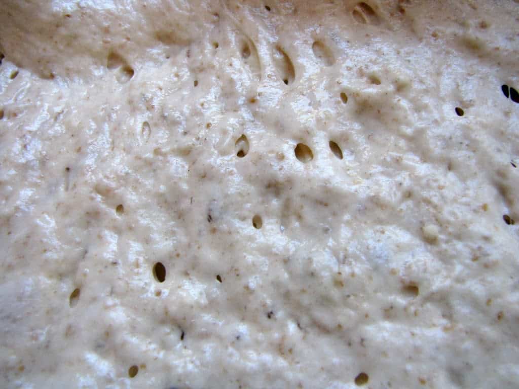 dough batter for bread