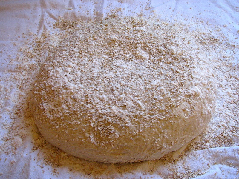 dough rising on a cloth