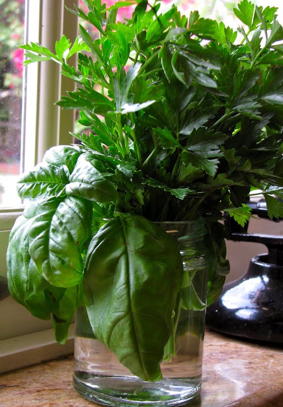 How to Keep Fresh Basil and Parsley in Your Kitchen Year Round