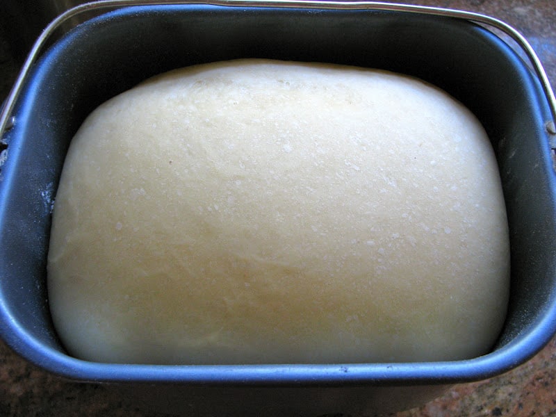 dough rising in bread machine