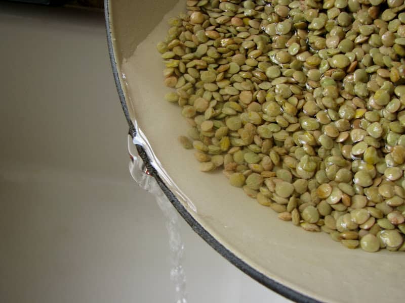 rinsing lentils
