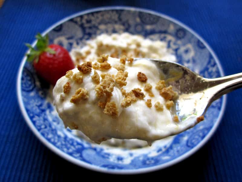 spoonful of rhubarb yogurt with grape nuts