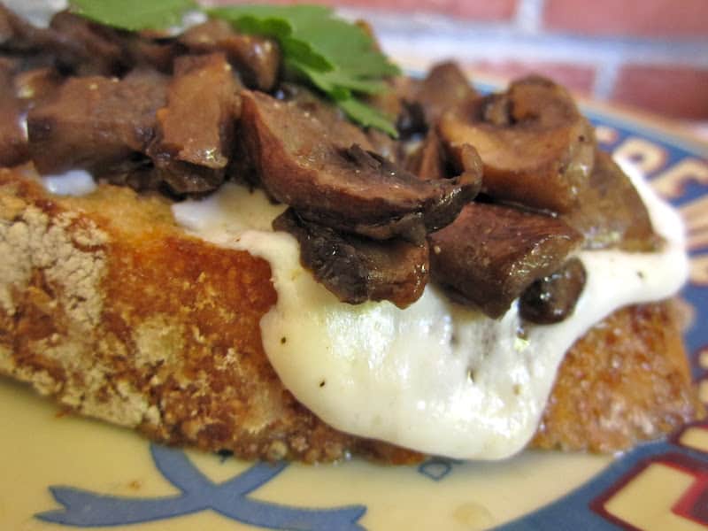 fresh mozzarella and mushroom toast 