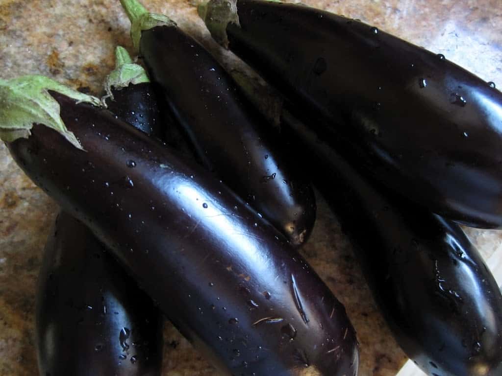 fresh eggplants