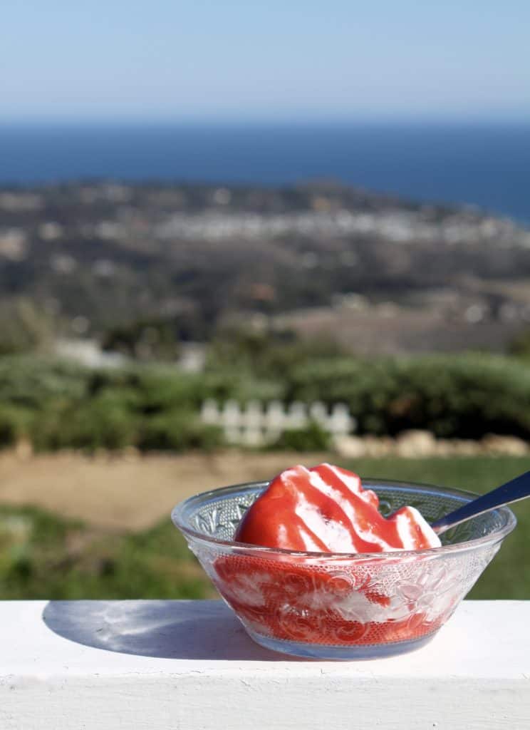 Frozen Strawberry Yogurt and Meringue Dessert with Strawberry Coulis on a ledge overlooking the ocean