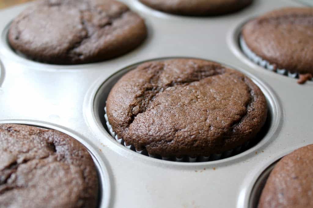 Buttermilk chocolate cupcakes baked in a pan
