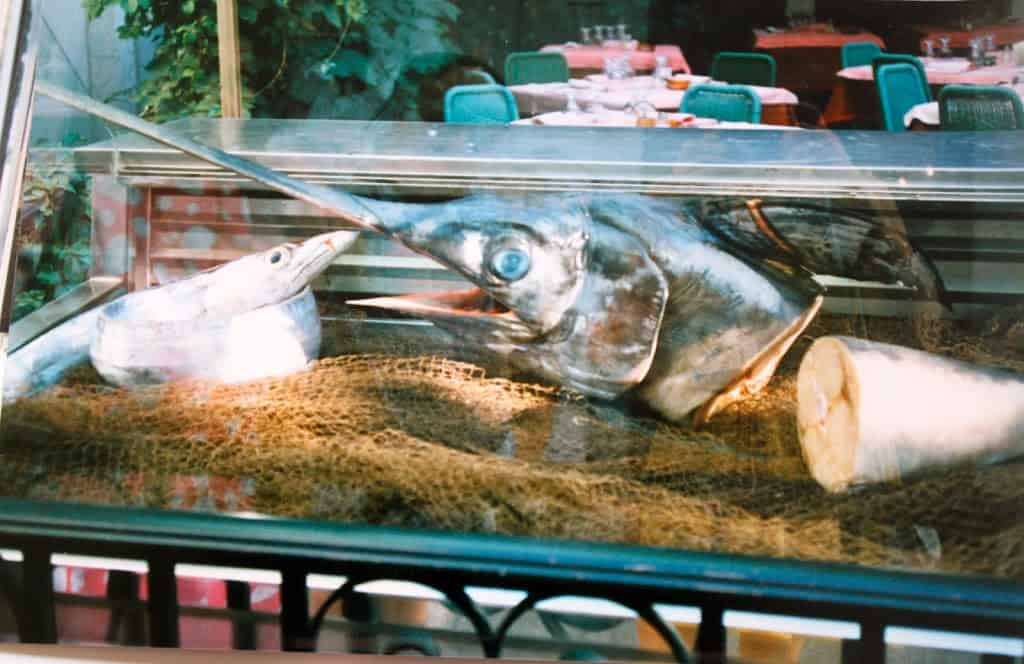 swordfish head in Sicily Italy