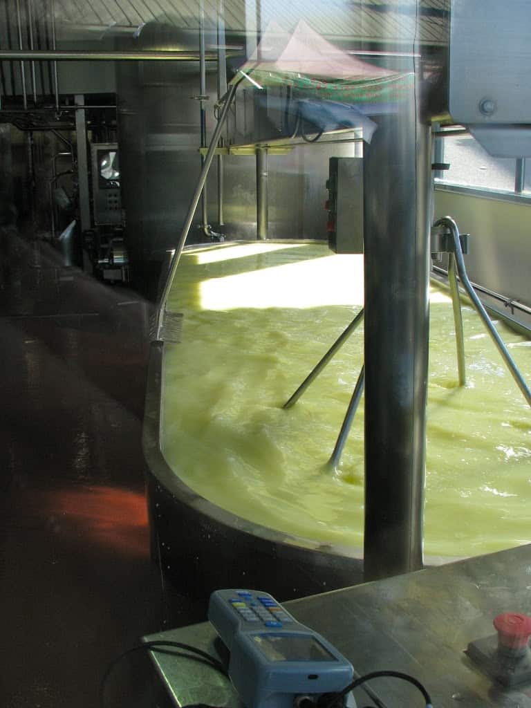 Cheese-making on a trip to Seattle