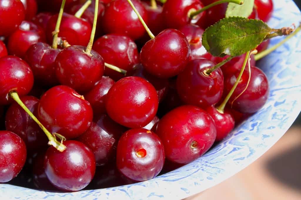 cherries in a bowl