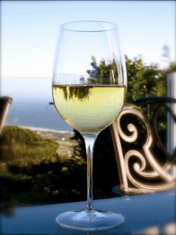 white wine malibu view
