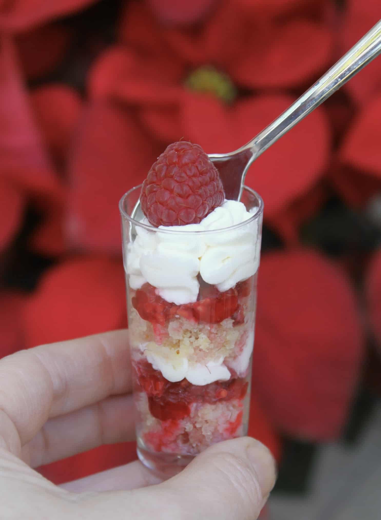 Lemon Raspberry Trifles - Christina's Cucina