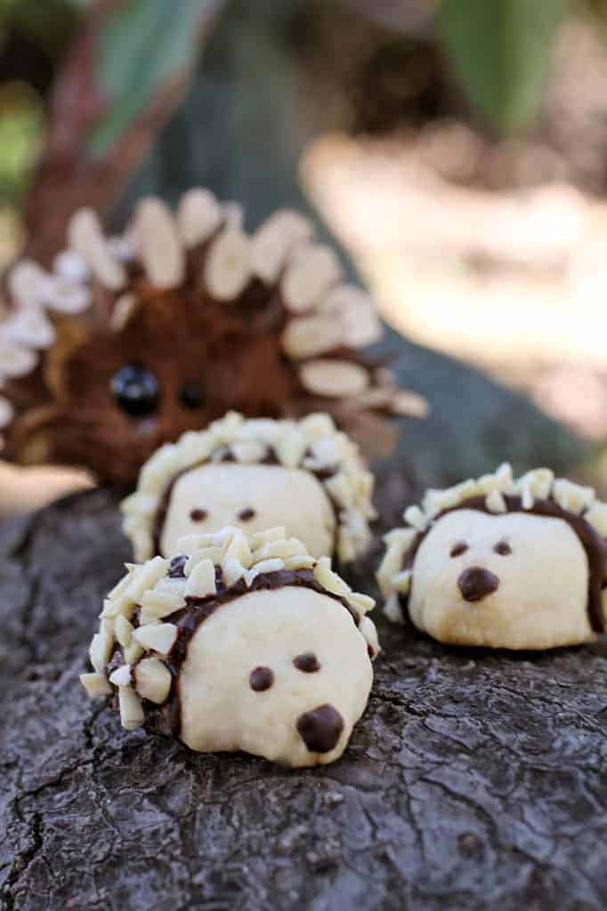 baby hedgehog cookies biscuits