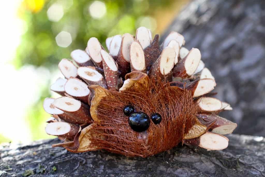 Wooden Hedghog from Germany