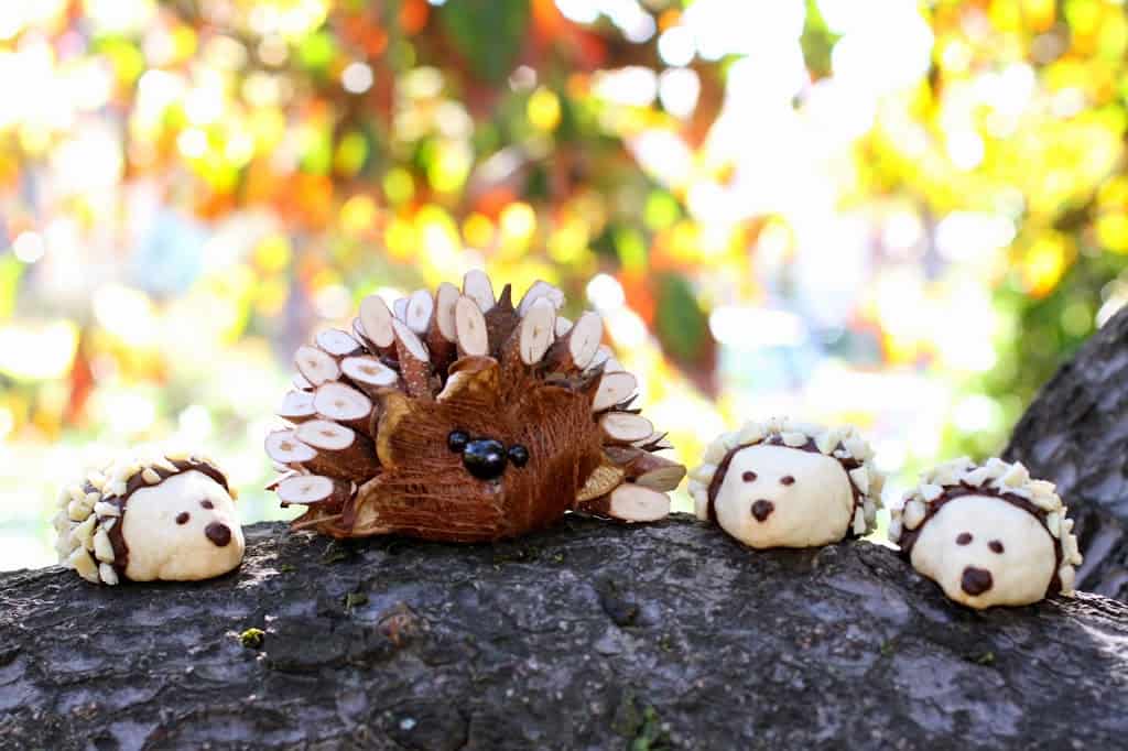Hedgehog cookies alongside a wooden one from Germany