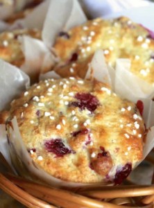 Cranberry and Orange Yogurt Muffins