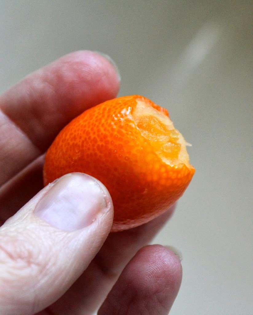 how to eat a kumquat