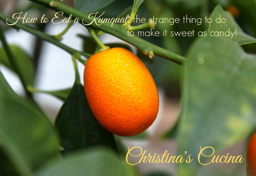 How To Eat A Kumquat The Strangely Counterintuitive Thing To Do To Make It As Sweet As Candy Christina S Cucina