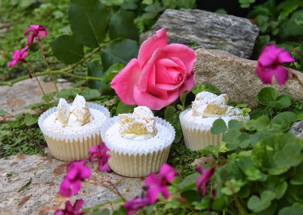 Butterfly cupcakes in the garden