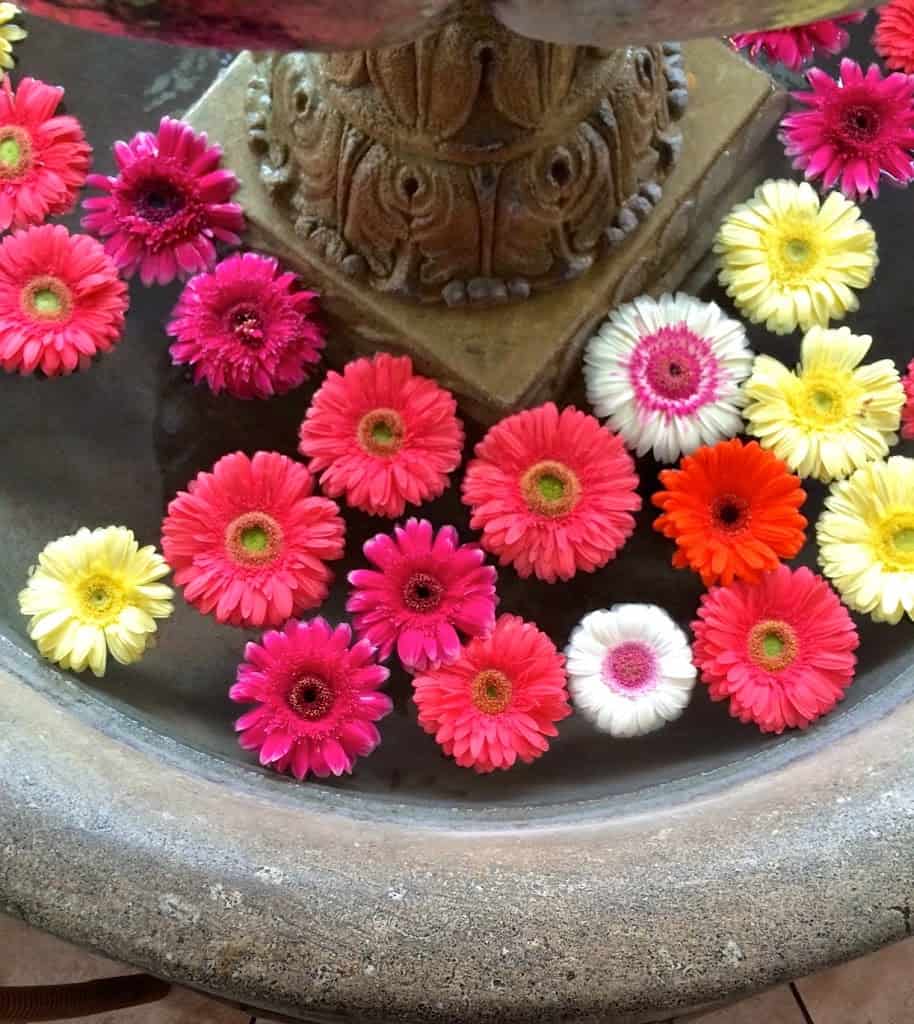 flowers in fountain