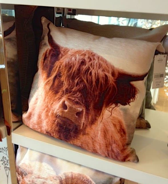 highland cow coo pillow