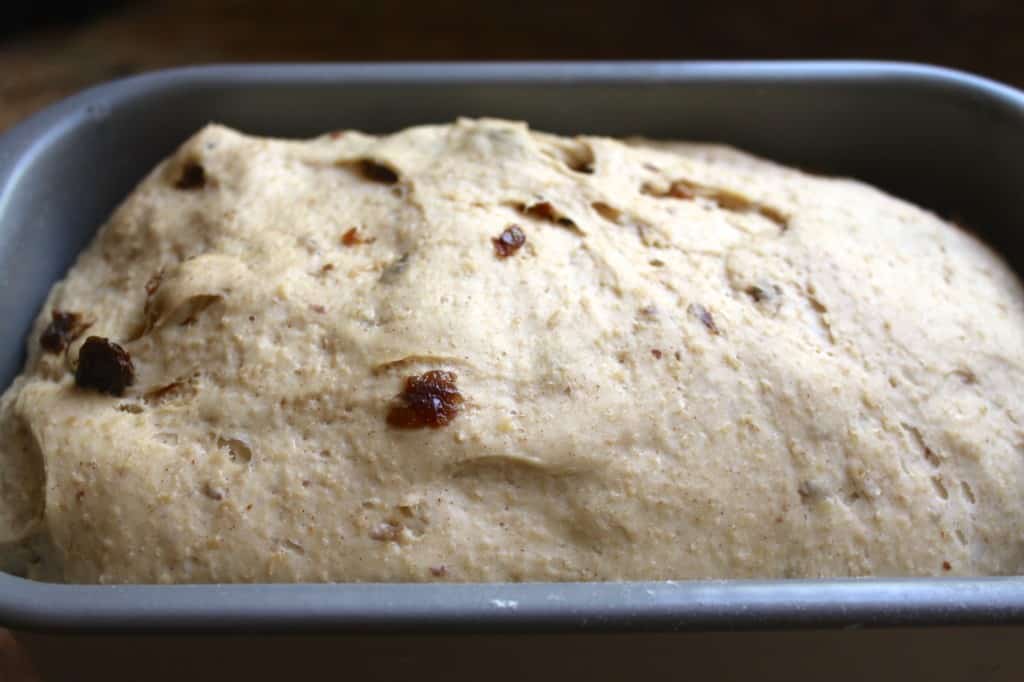 English muffin dough in bread machine