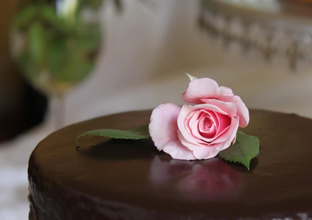 Rose on chocolate cake