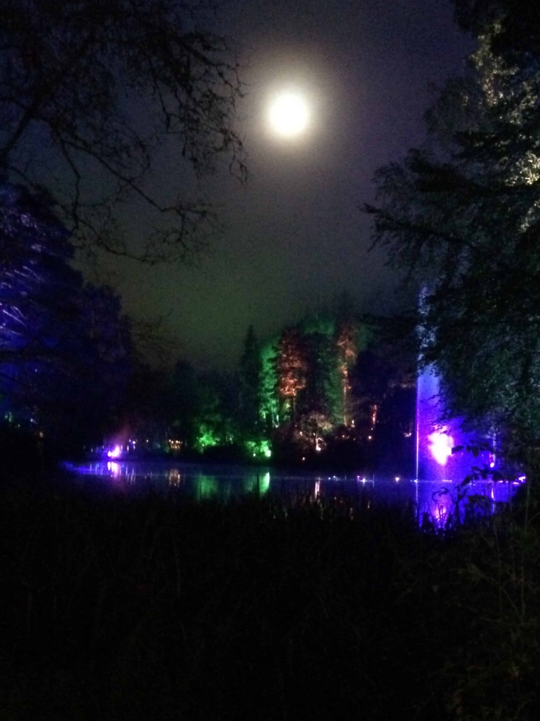 The Enchanted Forest Pitlochry