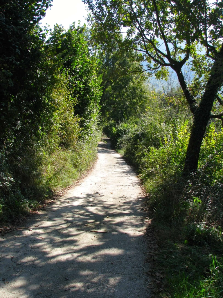 path in picinisco