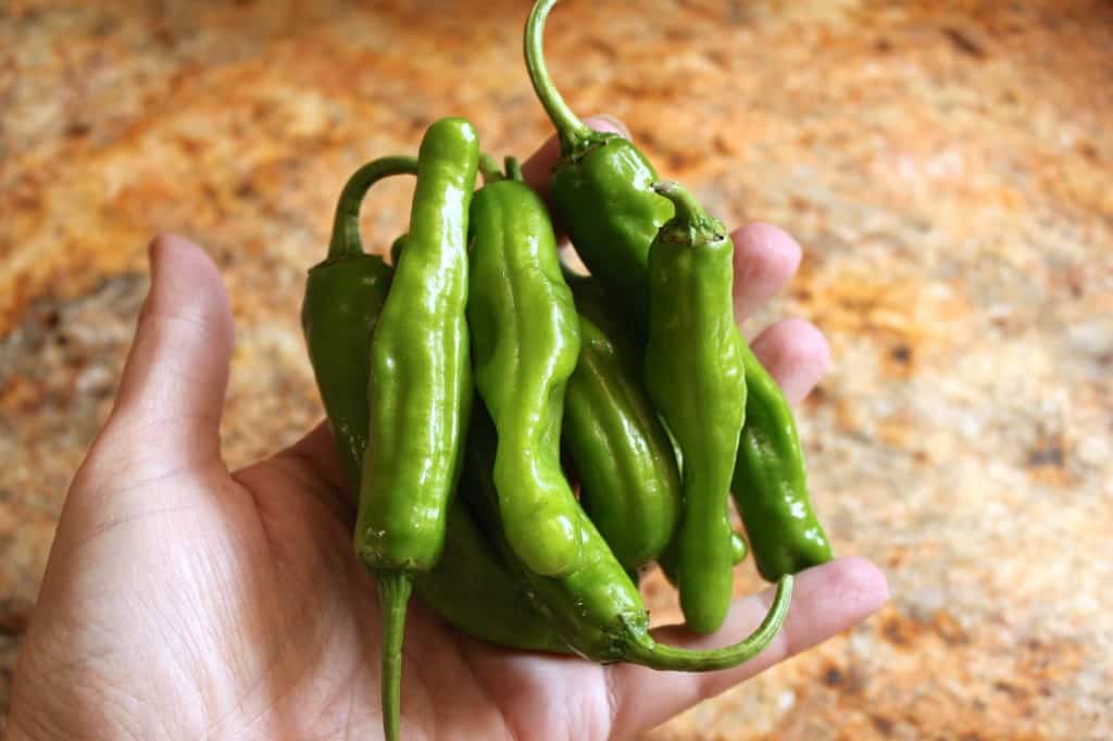 handful of raw peppers
