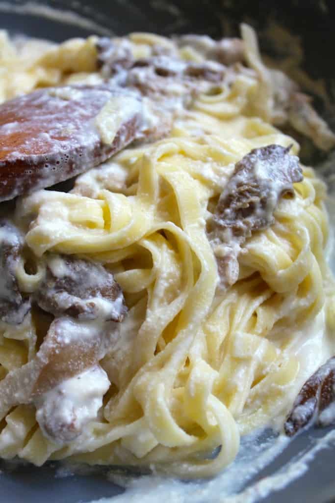 fettuccine with mushroom and ricotta cream sauce pasta