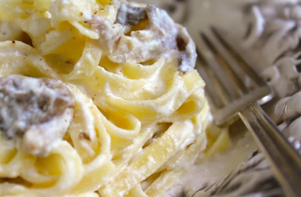 fettuccine with mushroom and ricotta cream sauce pasta