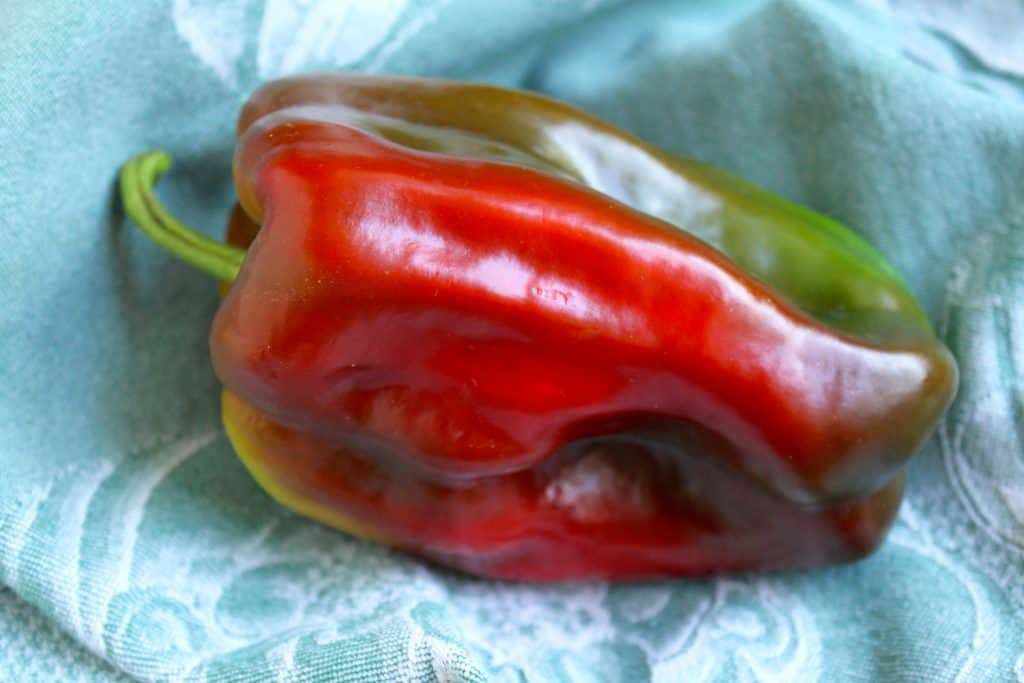 how to eat a garden pepper Red and green sweet pepper