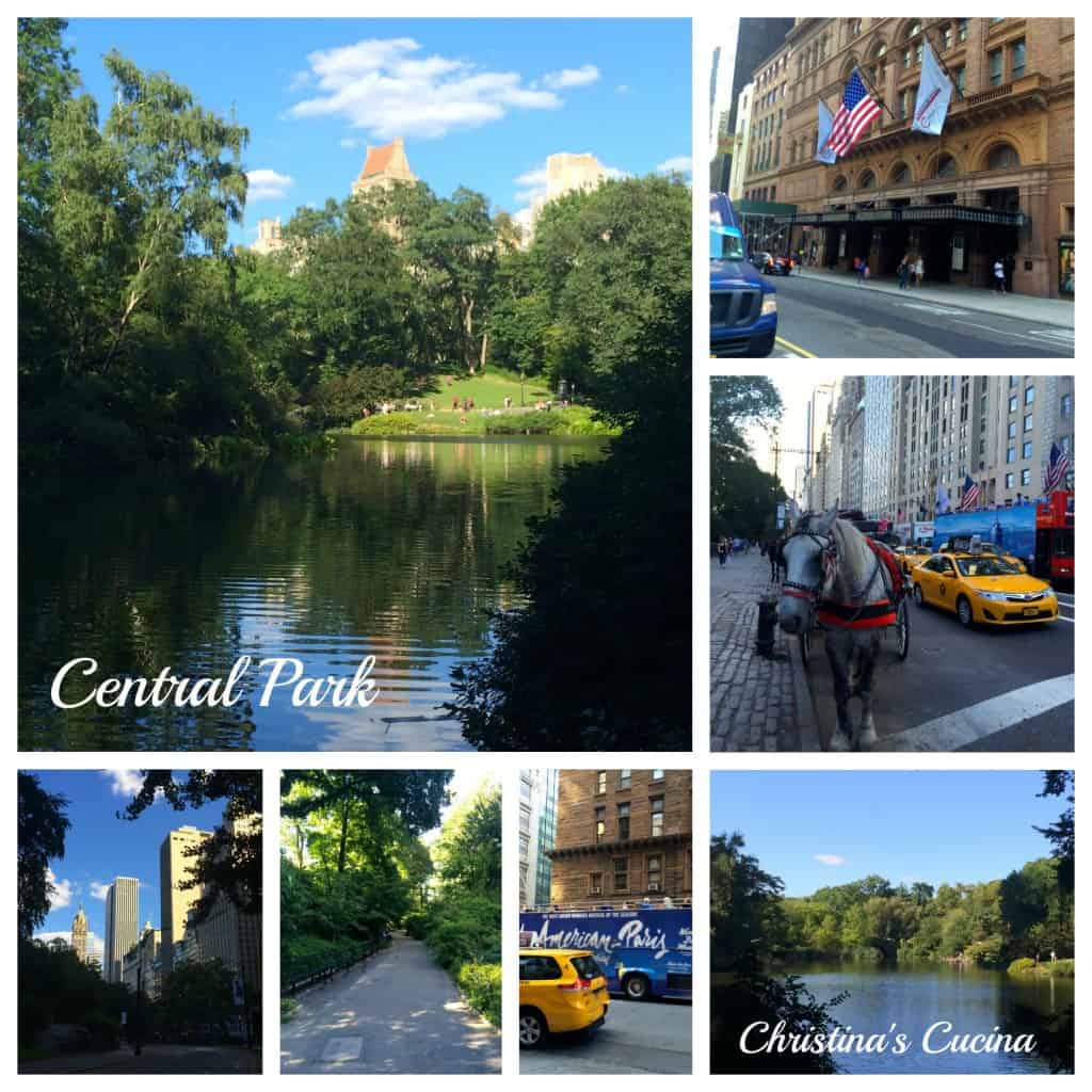 Central Park Manhattan New York City near Wellington Hotel