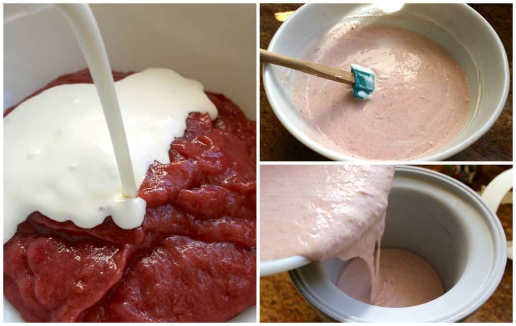making rhubarb ice cream