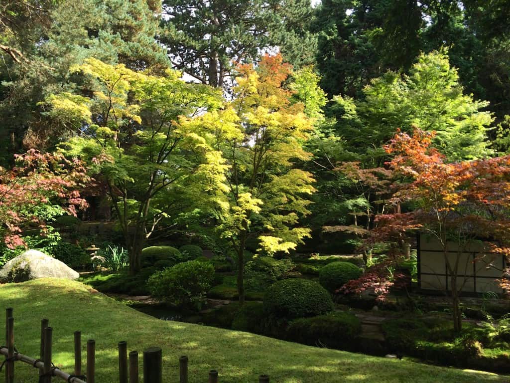 Tatton Hall Japanese Garden