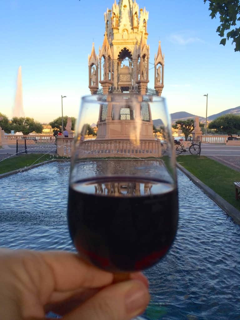 Glass of wine and the Brunswick Monument