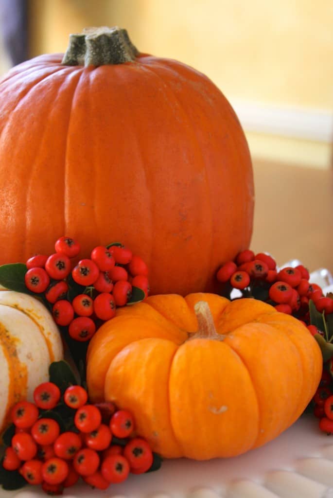 fall centerpiece with pumpkins