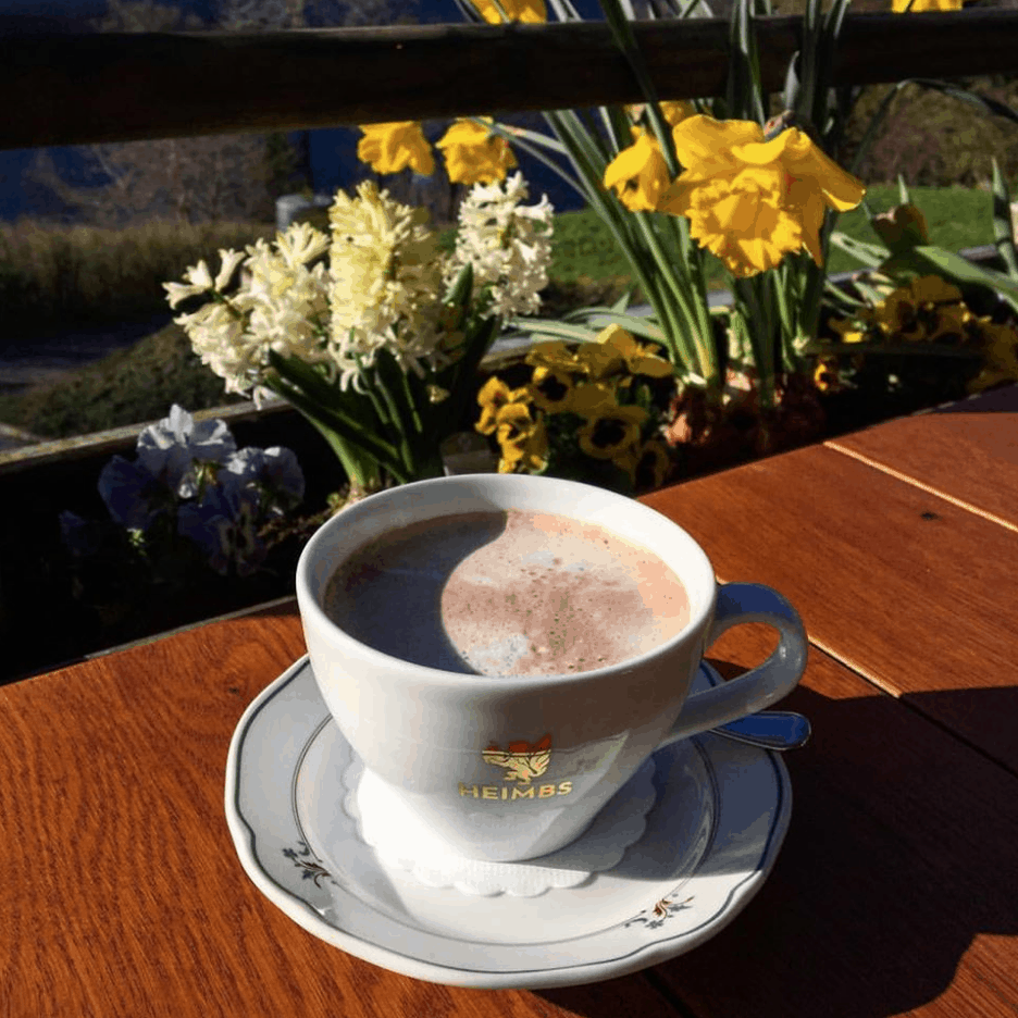 Cocoa at Hotel Alemannenhof on Lake TItisee