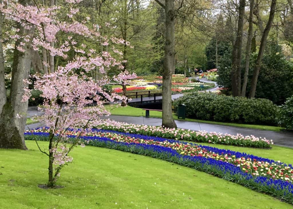 Keukenhof Gardens, Netherlands