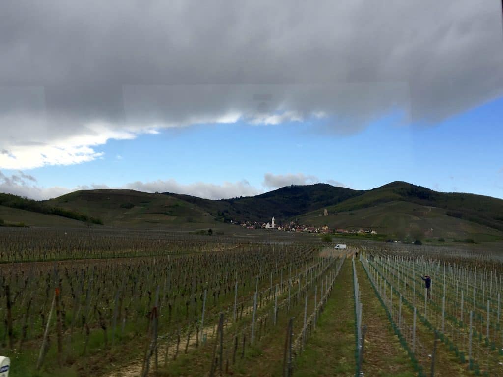 Vineyards in Alsace.