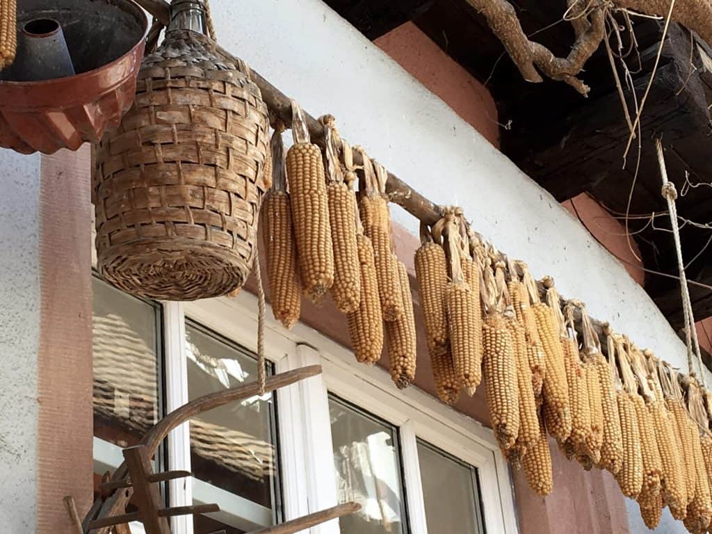 Corn and wine jug hanging in Riquewihr, France.