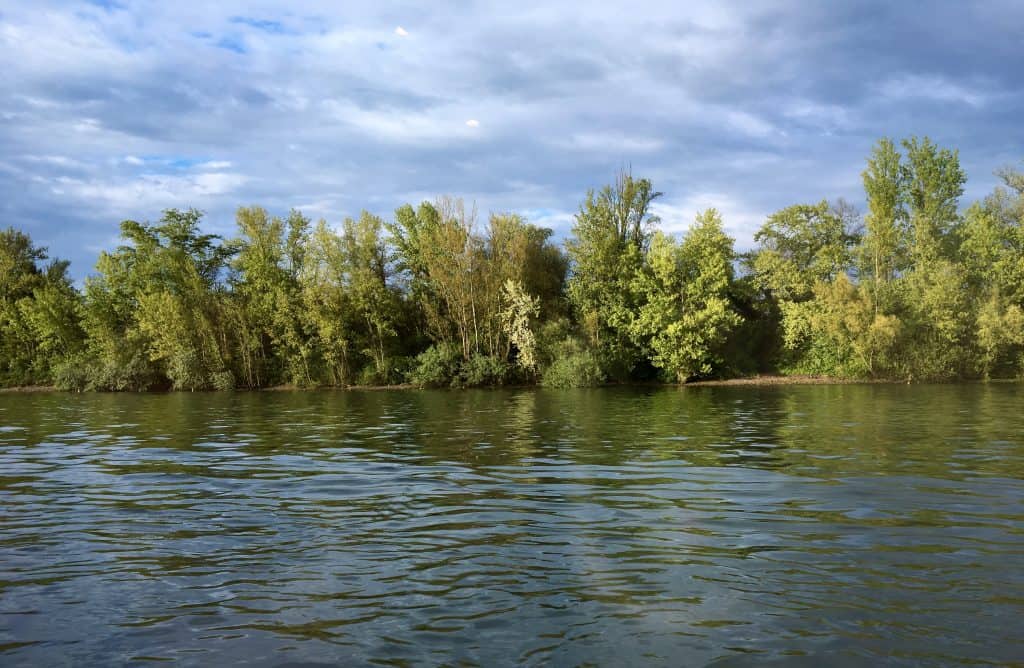 Cruising on the Rhine with AmaWaterways.