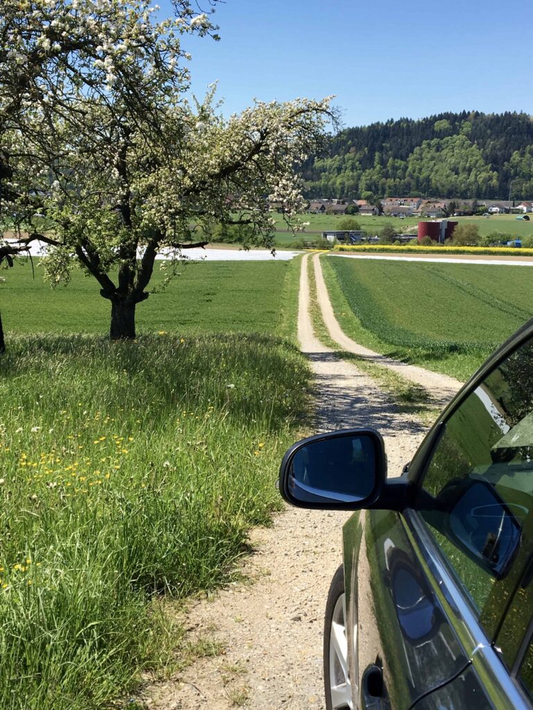 car on track in Germany