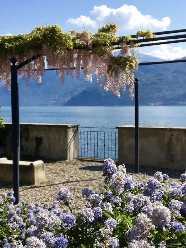 Pink wisteria near Lake Como driving from Switzerland to the Italian Lakes