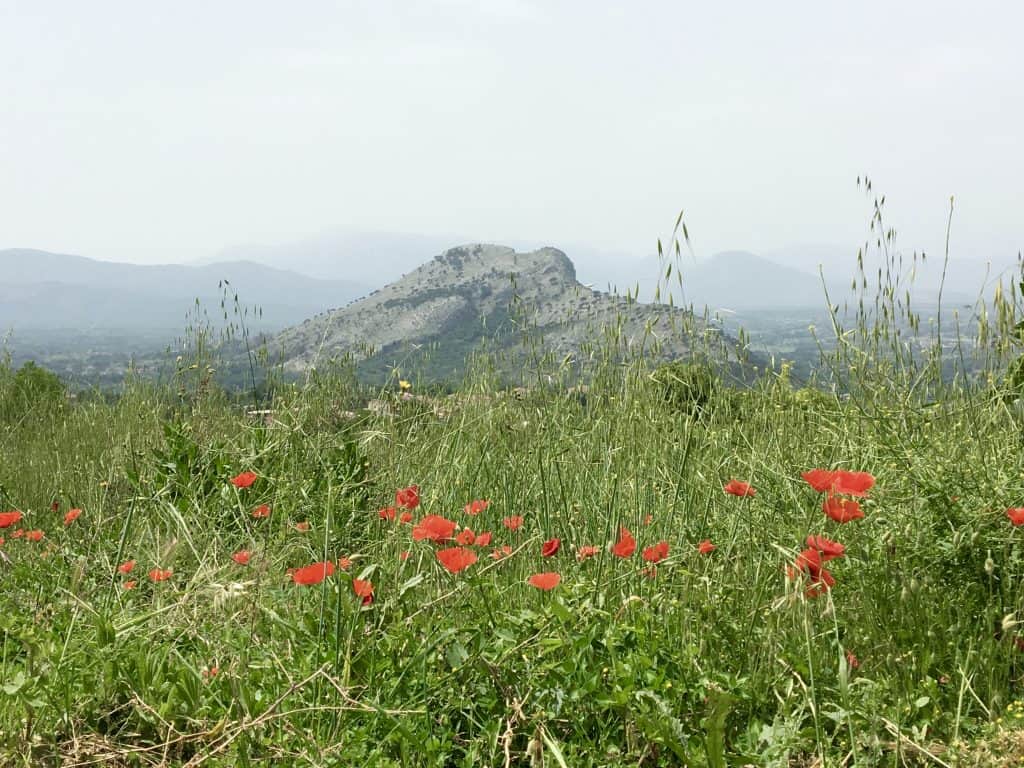 Monte Trocchio in Lazio.
