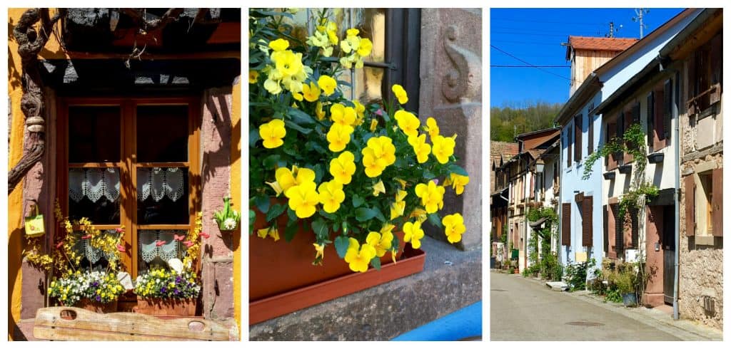 Riquewihr, Alsace