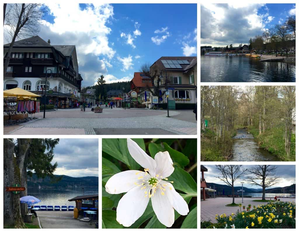 Titisee in the Black Forest, Germany