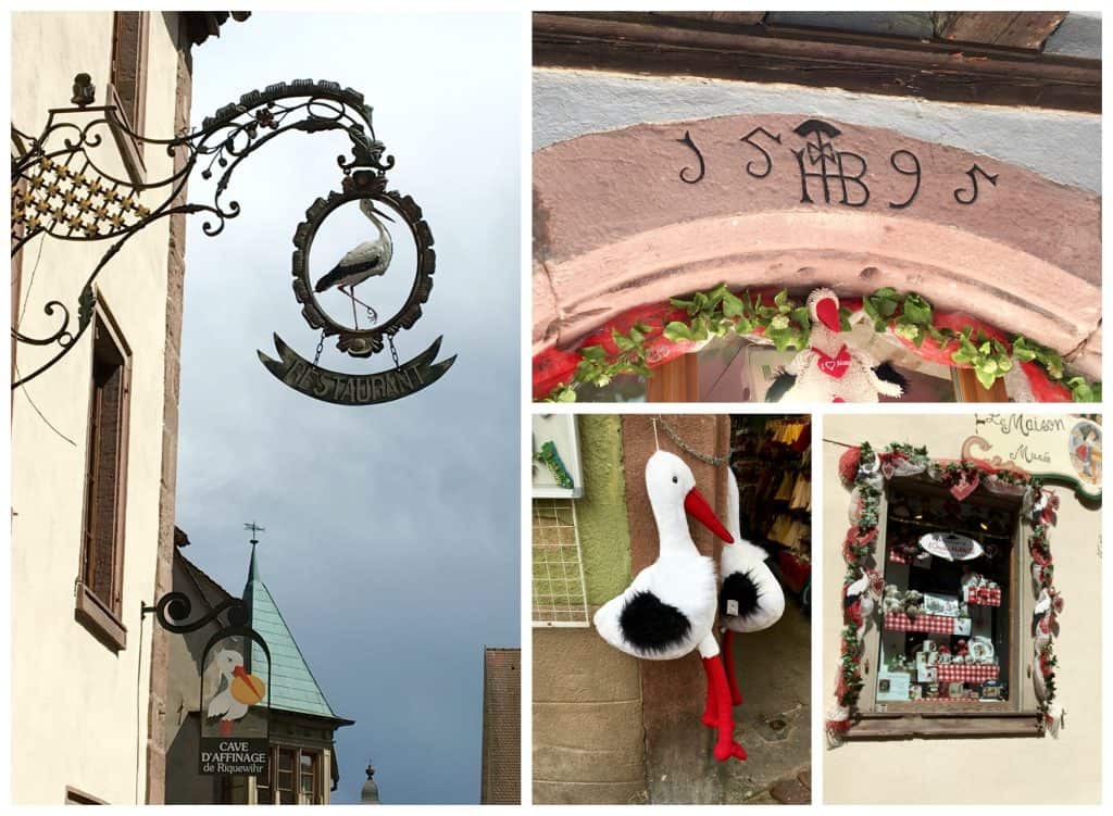 Storks in Riquewihr, Alsace